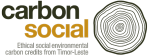 Carbon Social logo